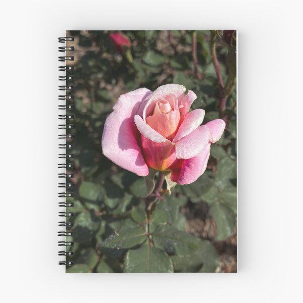 Item preview, La Rosa designed and sold by TTDean.