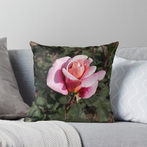 Artikelvorschau, Die Rose entworfen und verkauft von TTDean.