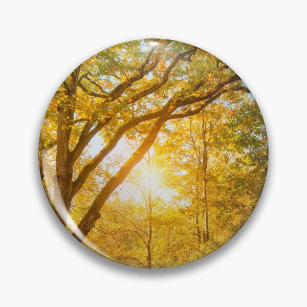 Item preview, LightStudy designed and sold by Philippe Sainte-Laudy.