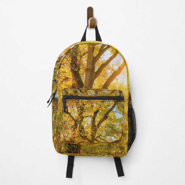 Item preview, LightStudy designed and sold by Philippe Sainte-Laudy.