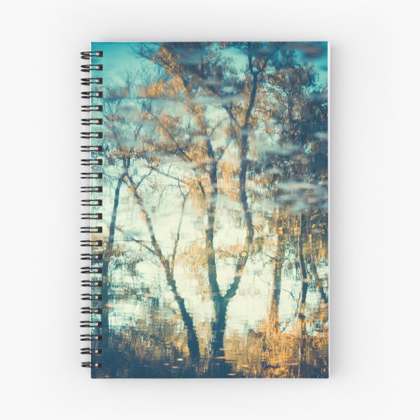 Item preview, Reflection Study #4 designed and sold by Philippe Sainte-Laudy.
