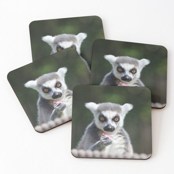 Item preview, Ring tailed lemur designed and sold by GreyFeatherPhot.
