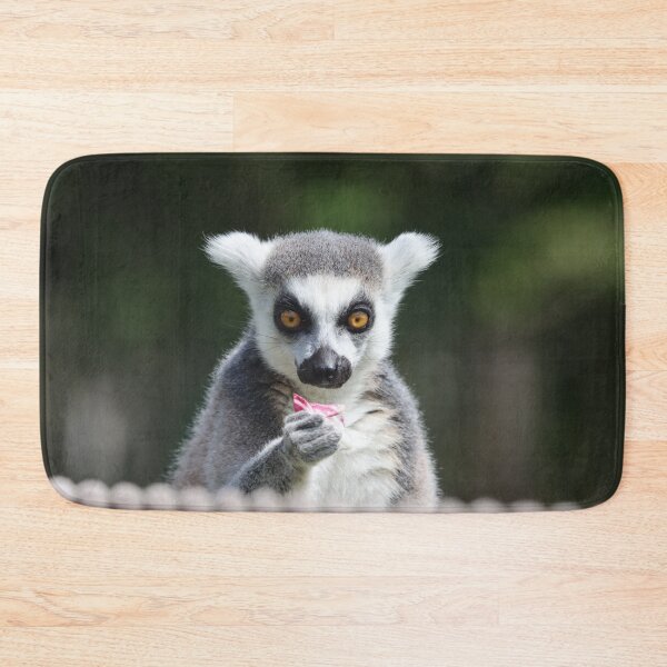 Item preview, Ring tailed lemur designed and sold by GreyFeatherPhot.