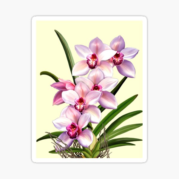 "Orchids" Sticker for Sale by AnthonySeeker Redbubble
