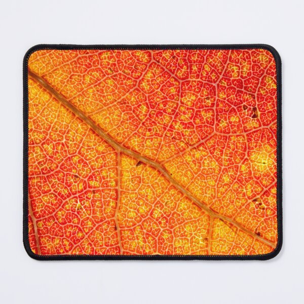 Item preview, Autumn Blaze  designed and sold by Stephen Carmickle.