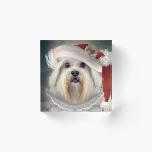 Item preview, Barbado da Terceira Wearing a Christmas Hat designed and sold by ZenEverAI.