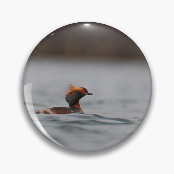 Item preview, Horned grebe  designed and sold by miradorpictures.