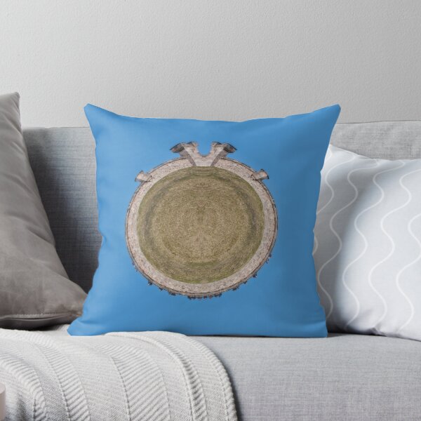 The Wall Throw Pillow