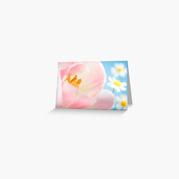 Pink Lily and Daisies Greeting Card