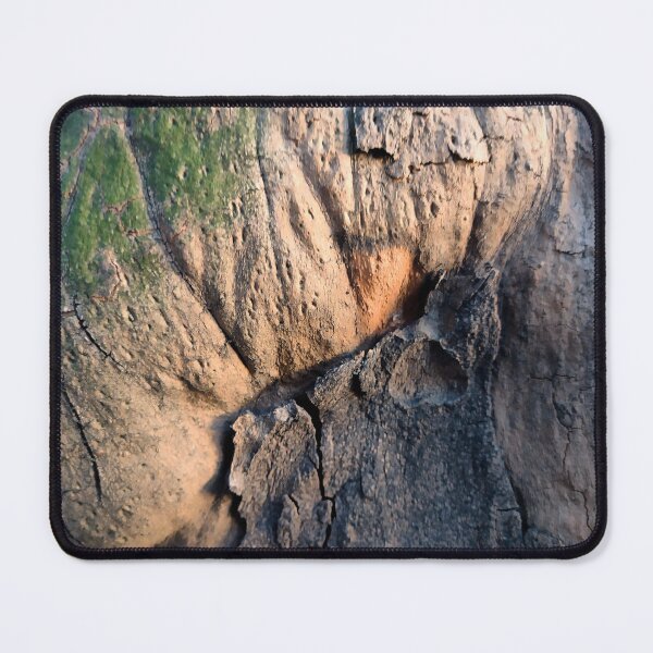 Item preview, The bark of the old plane tree designed and sold by AdioraStore.