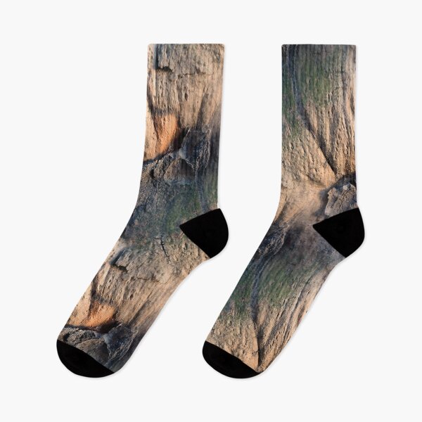 Item preview, The bark of the old plane tree designed and sold by AdioraStore.