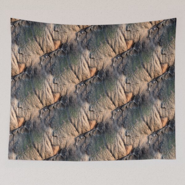Item preview, The bark of the old plane tree designed and sold by AdioraStore.