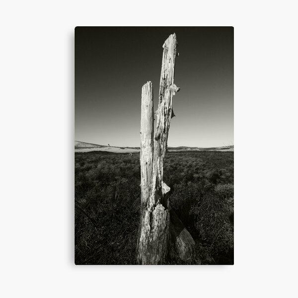 Life Ends. Canvas Print