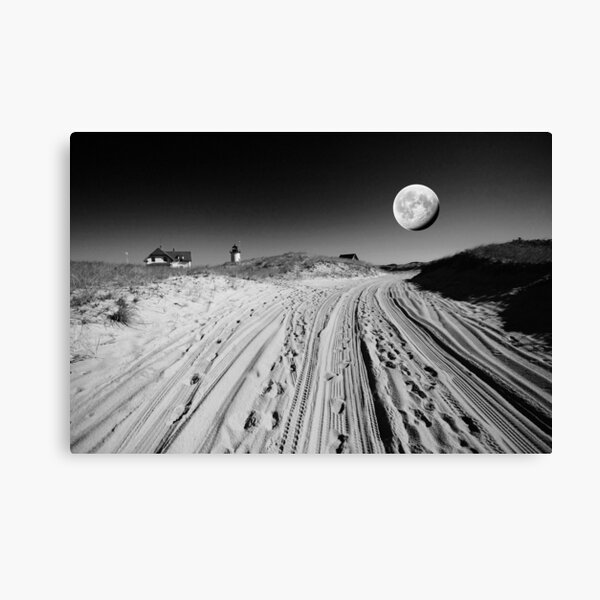 Moon. Canvas Print