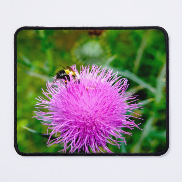 Item preview, Bee On Pink Flowering Thistle designed and sold by Robert Alsop.