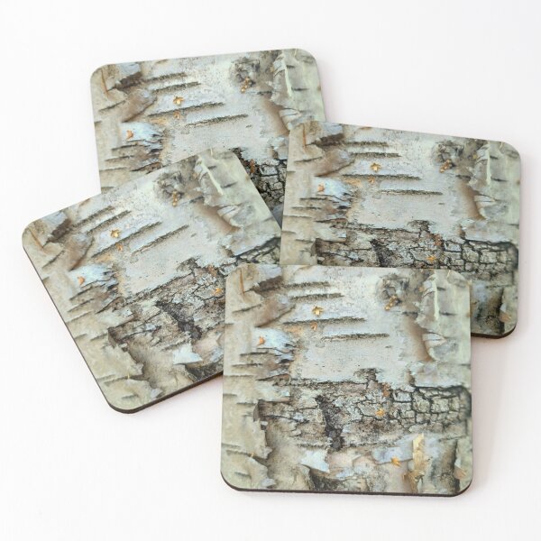 Item preview, Birch bark on the trunk designed and sold by AdioraStore.
