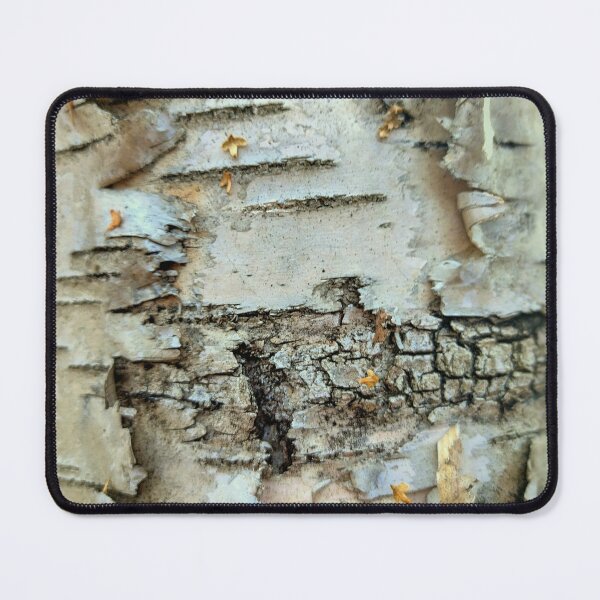 Item preview, Birch bark on the trunk designed and sold by AdioraStore.