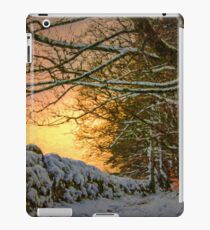 magical woodland.... by Phil Darby iPad Case/Skin