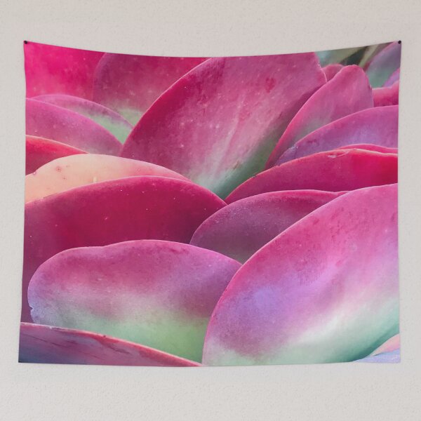 Item preview, Pink-Magenta And Pastel Green Succulents Artistic Photo designed and sold by DEC02.