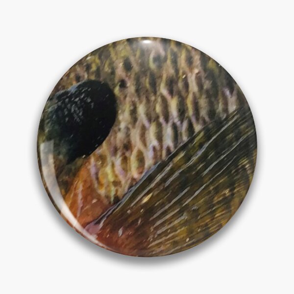 Item preview, Bluegill Skin (Natural) Fish Scales Pattern designed and sold by CJRPics.