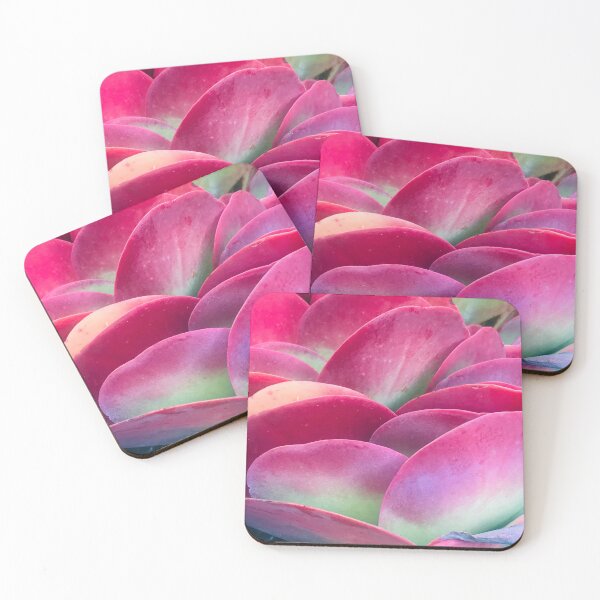 Item preview, Pink-Magenta And Pastel Green Succulents Artistic Photo designed and sold by DEC02.