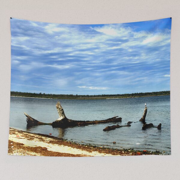 Item preview, Driftwood designed and sold by cjcphotography.