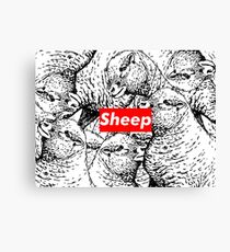 Sheep Supreme Canvas Print