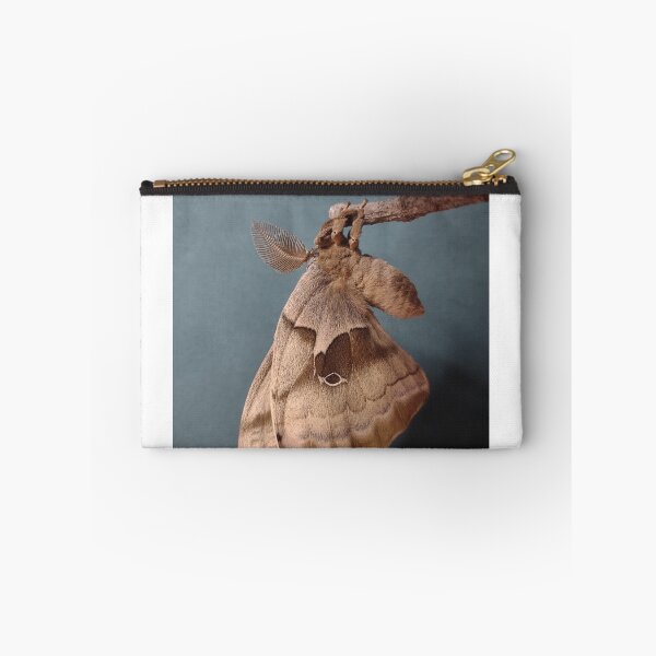 Item preview, Polyphemus moth freshly emerged designed and sold by Deathplant.