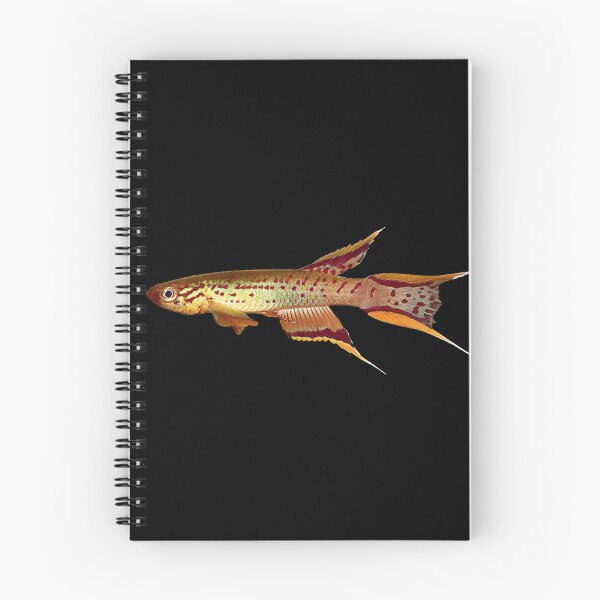 Item preview, Killifish Gold Lyretail australe designed and sold by killies.