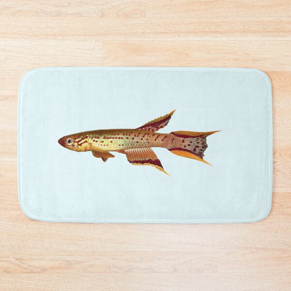 Item preview, Killifish Gold Lyretail australe designed and sold by killies.