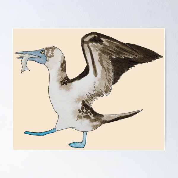 Item preview, Happy Blue Footed Booby Snack Time designed and sold by Nicky Rollings.