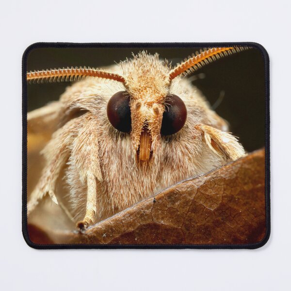 Item preview, The Fuzz designed and sold by Stephen Carmickle.