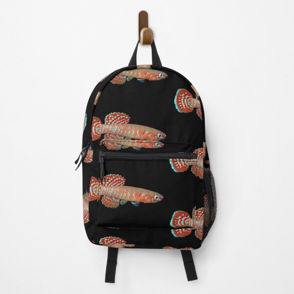 Item preview, Aphyosemion (Diapteron) abacinum - ABA Killifish designed and sold by killies.