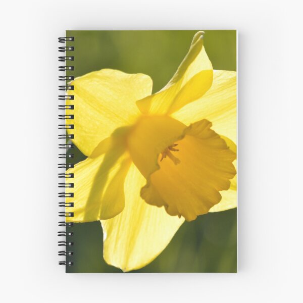 Item preview, Dancing Daffodil designed and sold by John Stoves.