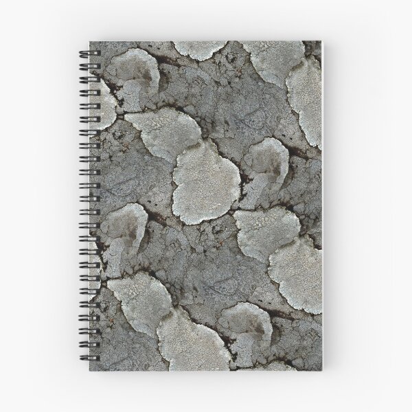 Item preview, Lichen Lines (pattern) designed and sold by Yampimon.