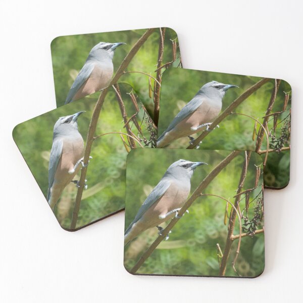 Item preview, Honeyeater designed and sold by D-GaP.