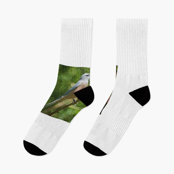 Item preview, Honeyeater designed and sold by D-GaP.