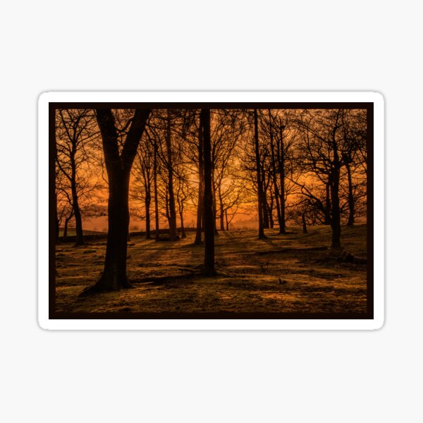 solstice stirrings.... by Phil Darby Sticker