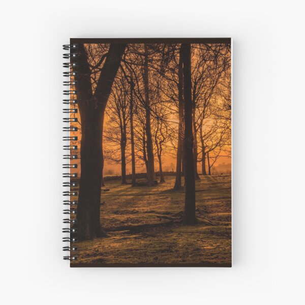 solstice stirrings.... by Phil Darby Spiral Notebook