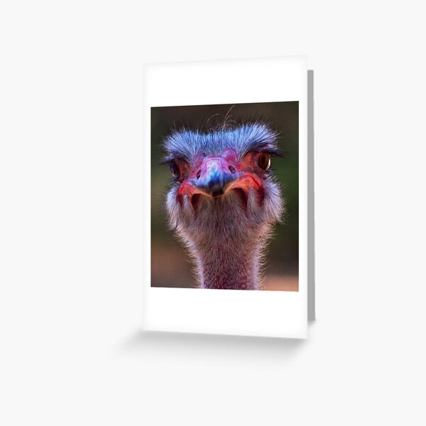 What's Up? Greeting Card
