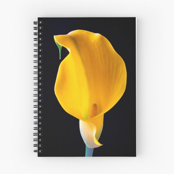 Item preview, Sculptured Yellow Calla Lily designed and sold by Garry Gay.