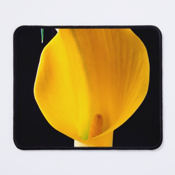 Item preview, Sculptured Yellow Calla Lily designed and sold by Garry Gay.