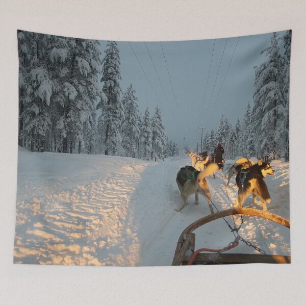 Item preview, Pulling the Sled designed and sold by Marylou Badeaux.