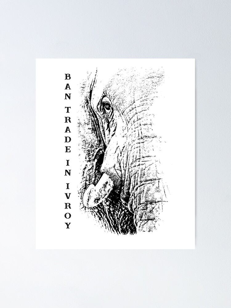 Thumbnail 1 of 3, Poster, African Elephant "Ban Trade in Ivory" designed and sold by scotch.