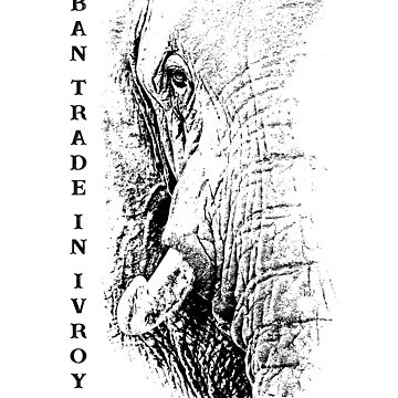 Artwork thumbnail, African Elephant "Ban Trade in Ivory" by Scotch Macaskill