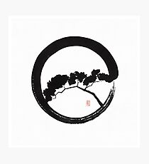 Tree Enso Photographic Print