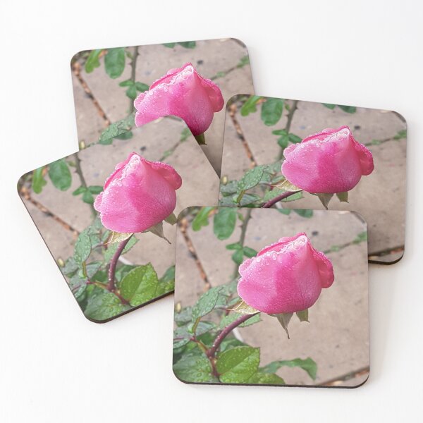 Item preview, Pink Rose Bud with Rain droplets designed and sold by WhiteSoftPetals.