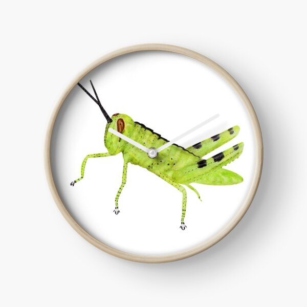 Cricket Clock