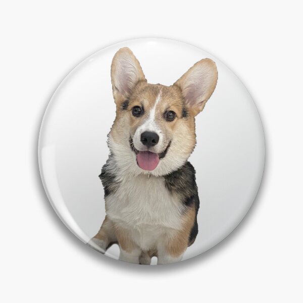 Artikelvorschau, Dreifarbiges Corgi-Sitzen entworfen und verkauft von Sel P.