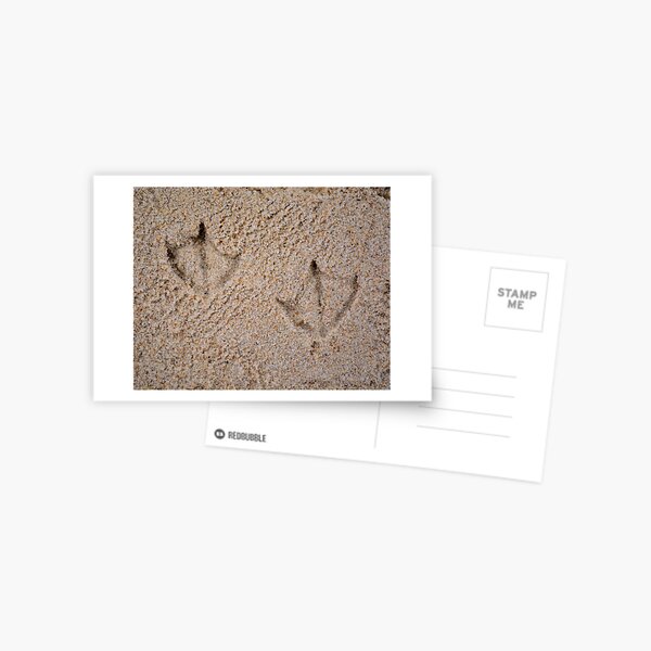 Item preview, Seagull Print designed and sold by Sunshinesmile83.